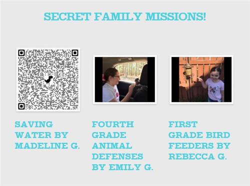 Secret Family Missions